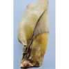Anco Naturals Giant Cow Ears - Loose