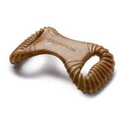 Benebone Dental Chew - Bacon