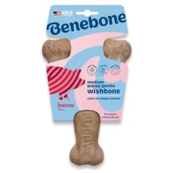 Benebone Puppy Wishbone