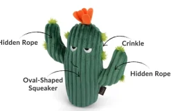 Blooming Buddies Prickly Pup Cactus Dog Toy - By P.L.A.Y.