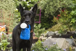 Blooming Buddies Wagging Watering Can Dog Toy - By P.L.A.Y.