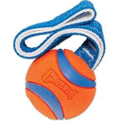 Chuckit Ultra Tug Small 4.8cm