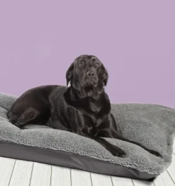 Danish Design Happy Landings Deep Dog Duvet