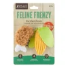 Feline Frenzy BBQ Picnic Cat Toy Set of 2