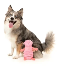 FuzzYard - Flutter The Bed Bug Dog Toy