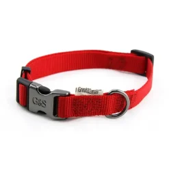 Great & Small Classic Plain Collar