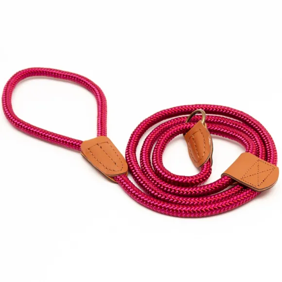 Great & Small Country Rope Slip Lead