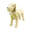Great & Small Glow Hi-Vis Harness Yellow