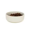 Great & Small Penrose Cream Stoneware Dog Bowl