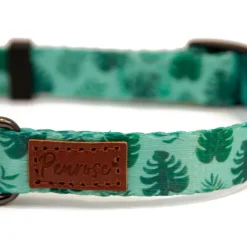 Great & Small Penrose Palm Leaf Green Collar