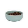 Great & Small Penrose Teal Stoneware Dog Bowl