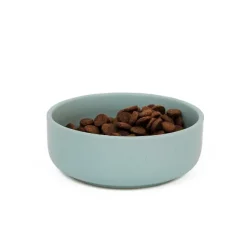 Great & Small Penrose Teal Stoneware Dog Bowl