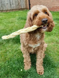 JR - Braided Lamb 30cm