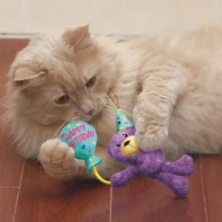 KONG Cat Birthday Teddy