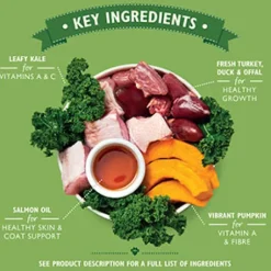 Lily's Kitchen Puppy Recipe With Turkey, Duck and Kale Wet Dog Food (10 x 150 g)