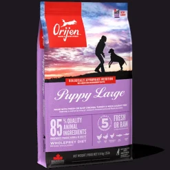 Orijen Puppy Large Breed Dry Dog Food