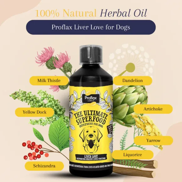 Proflax Liver Love for Dogs 250ml