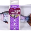 Rosewood Jolly Moggy Catnip Trout Cat Toy