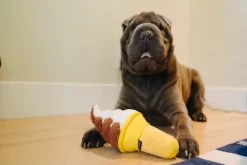 Snack Attack Soft Serve - By P.L.A.Y