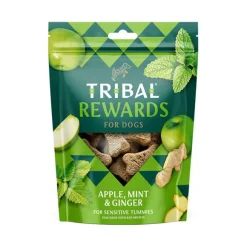 Tribal Rewards Apple, Mint & Ginger Dog Biscuits 125g