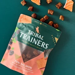 Tribal Trainers Salmon & Blackberry Dog Treats 80g